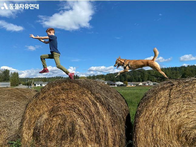 새 가족을 기다리는 푸일이, 새 가족을 만난 슬우 이야기